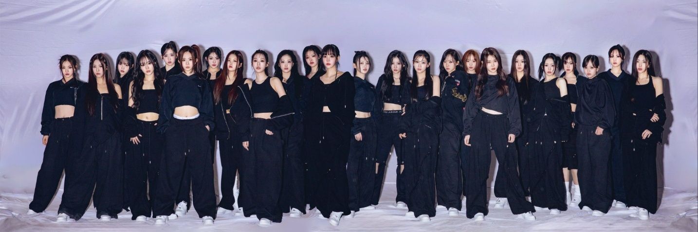 타임코스모스 banner