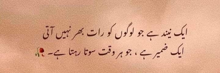 Minahil49236256's profile banner image