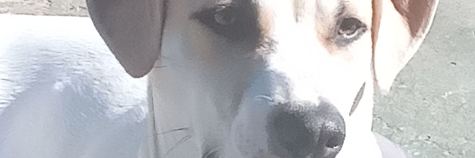 cocho5875's profile banner image