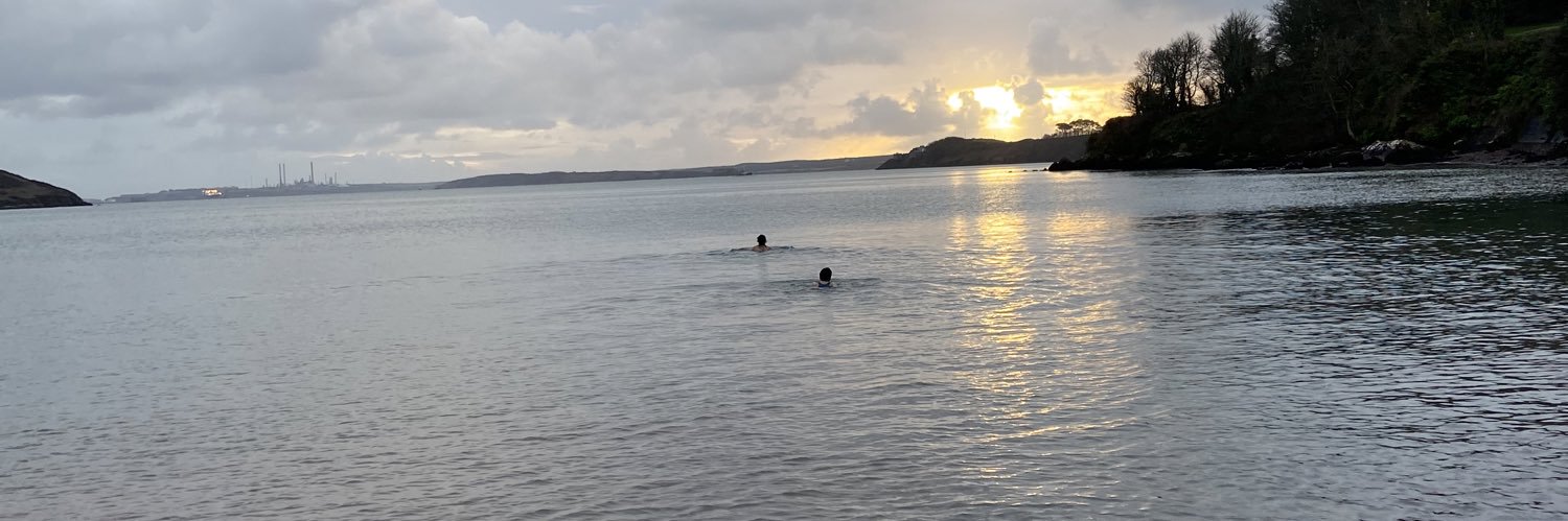 Nilima Parry-Jones banner