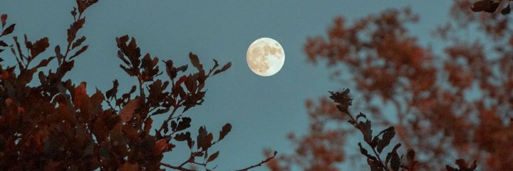 PameSosaa's profile banner image