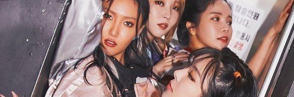 sekteinsomnia banner