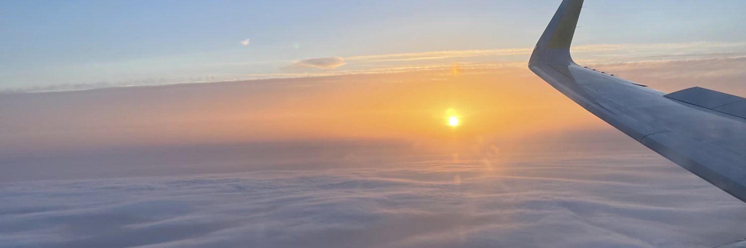 Ale banner