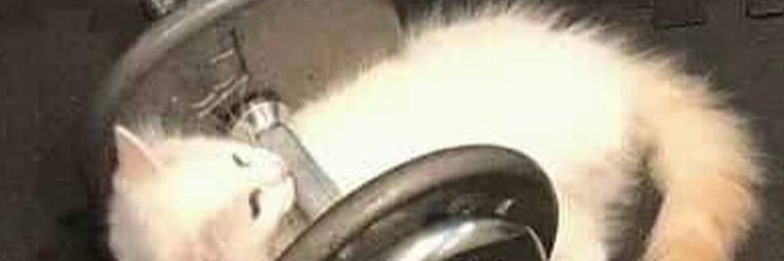 Mery banner