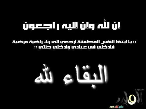 Rooz623's profile banner image