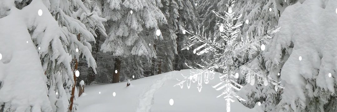 MsRodrigues_L's profile banner image