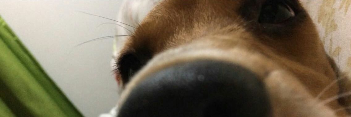 Laura_lejandraa's profile banner image