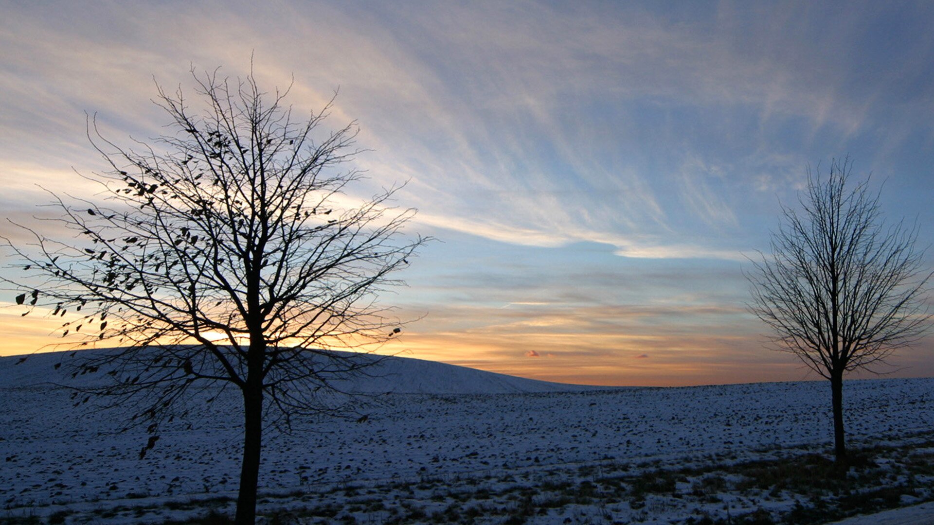 lauritacastells's profile banner image