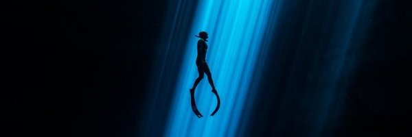 nettie12724056 Profile Banner