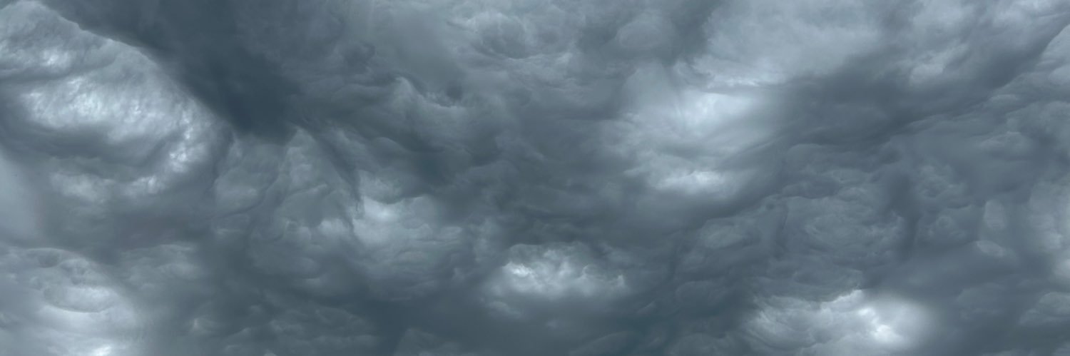 abrilcampos___'s profile banner image
