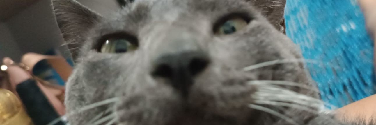 samebabi's profile banner image