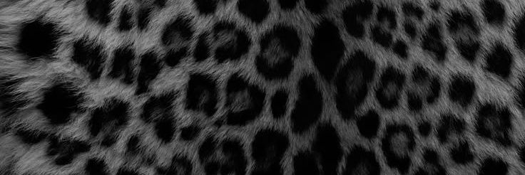 𝑅' banner