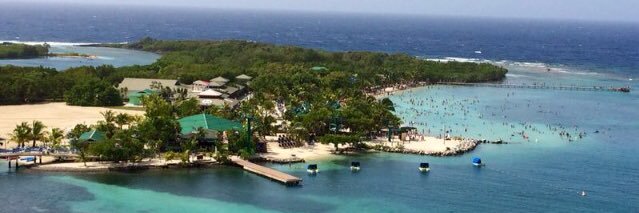 Francesca Cigna banner