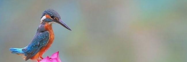 solaep65's profile banner image