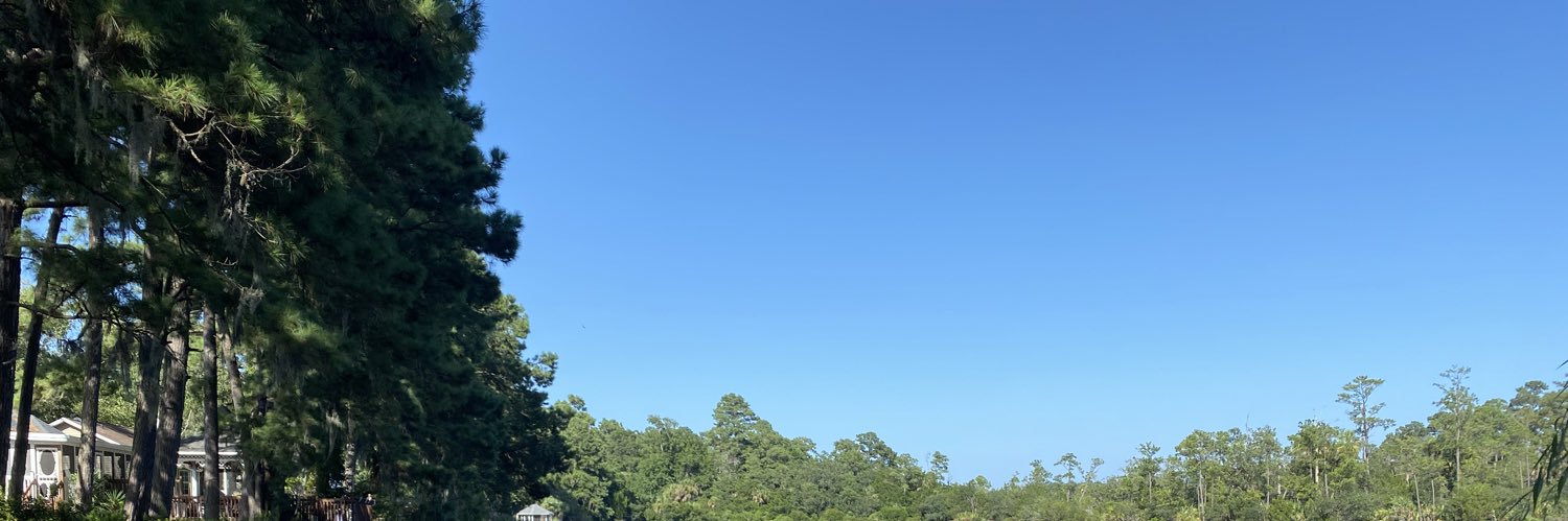 小嗏 🦍🦴 banner