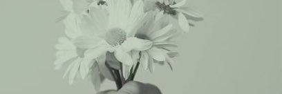 camraser's profile banner image