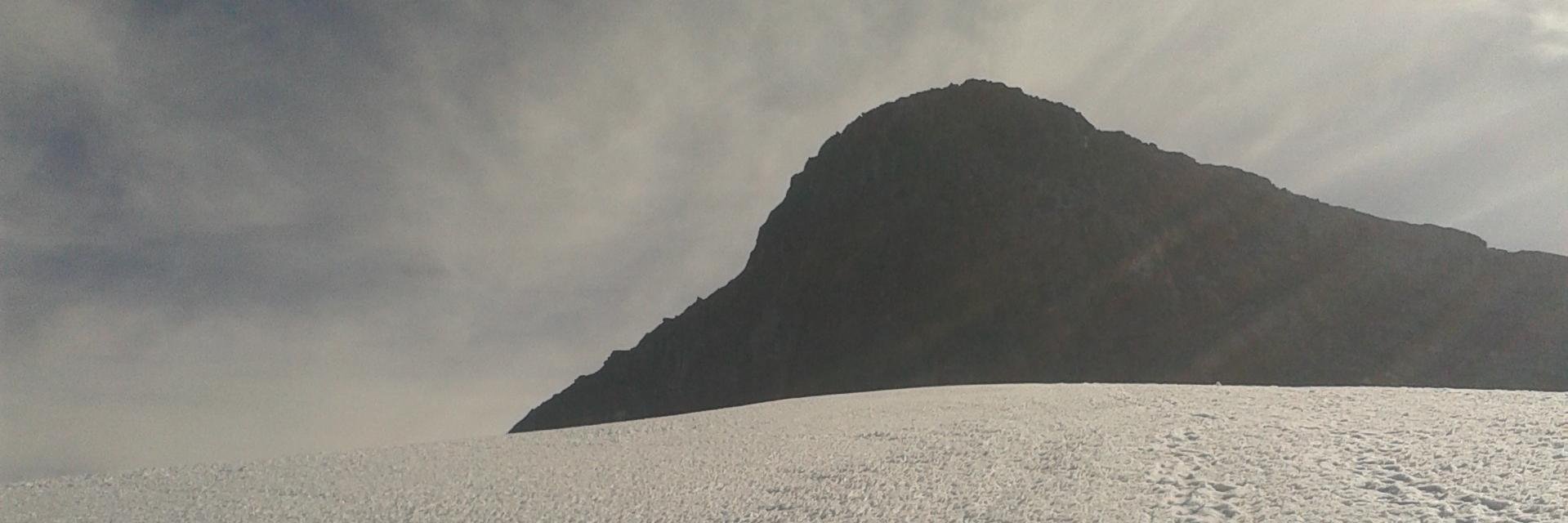 leydenperez's profile banner image