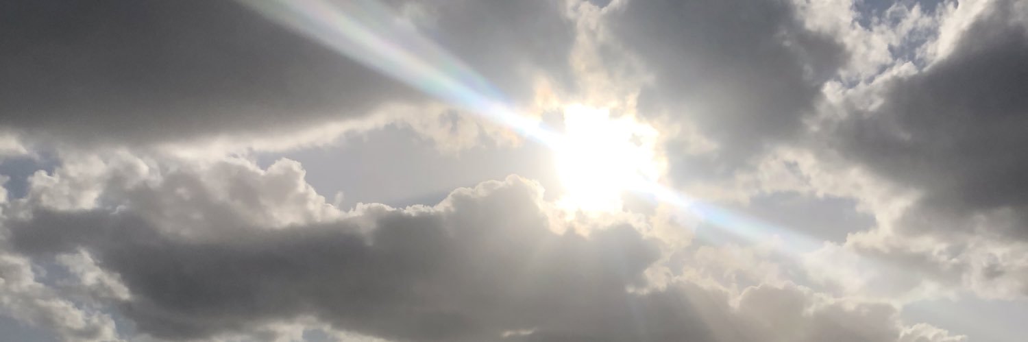 Ariana Polyviou banner