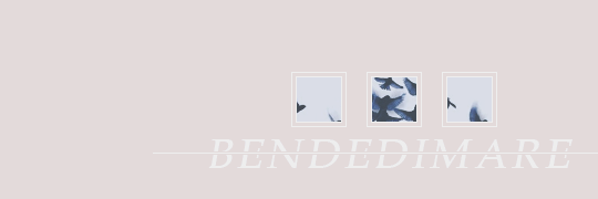 bendedimare's profile banner image