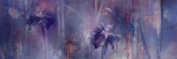 s25525885 Profile Banner