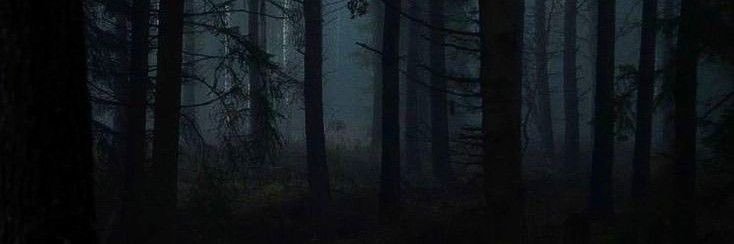 alexareading's profile banner image