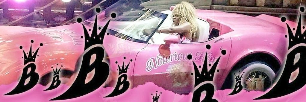 👑🐝Vault banner