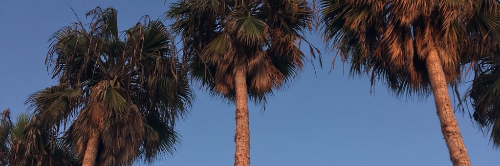 troos_k's profile banner image