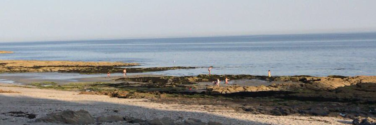 Olivier Cousi banner