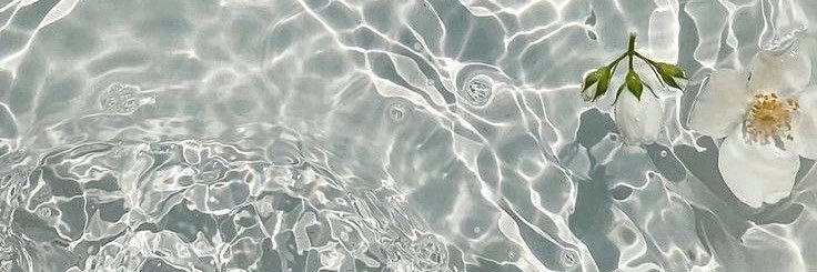 🌺 banner
