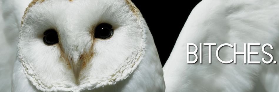 chowkneema's biggest hater banner