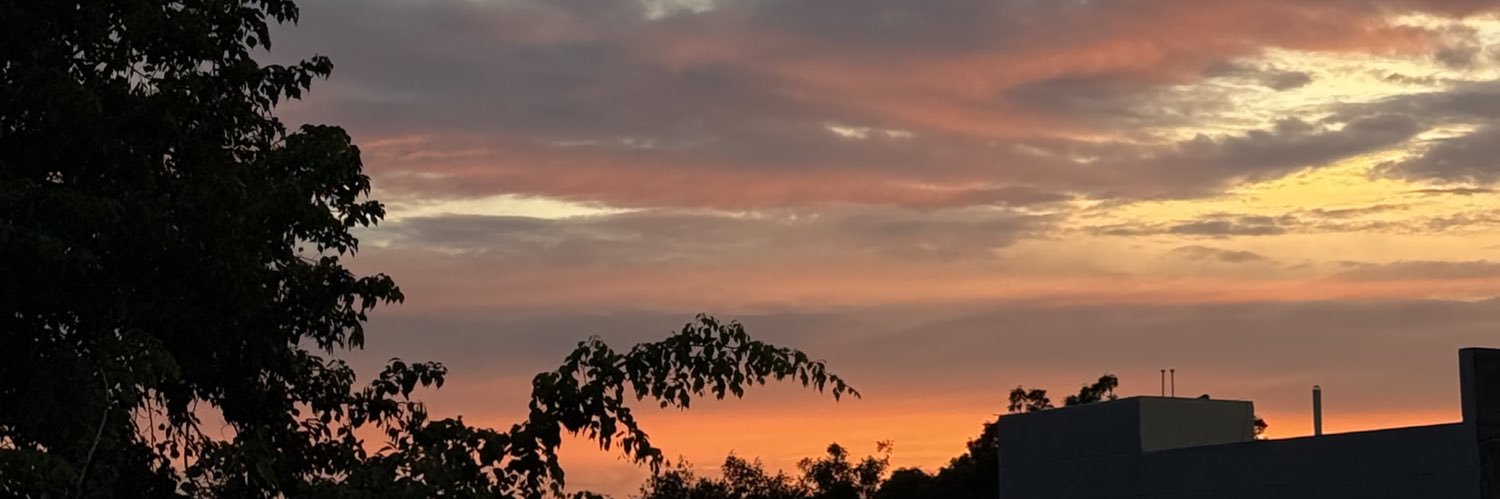 bruschetamine's profile banner image