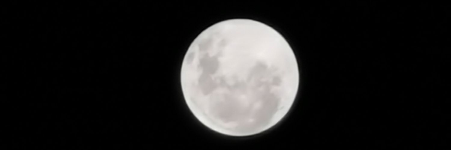 fcoposada's profile banner image