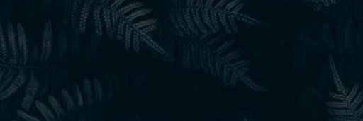 contiringbran19's profile banner image