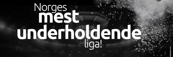 ehlnoo Profile Banner