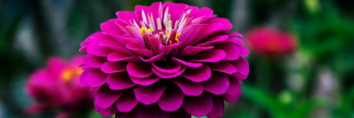 YahuahDaughter's profile banner image