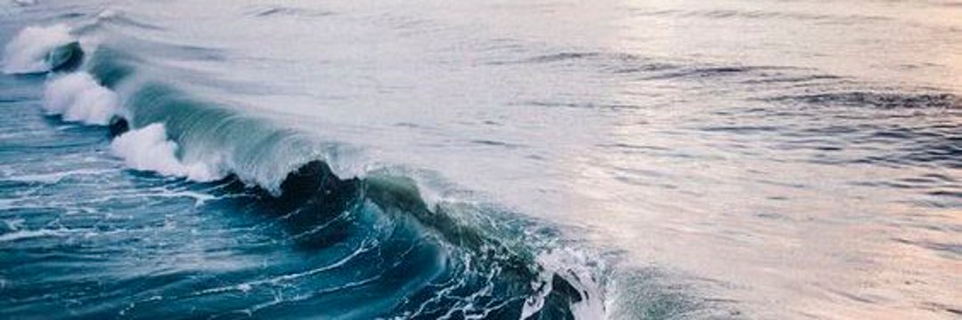 ailupecc03's profile banner image
