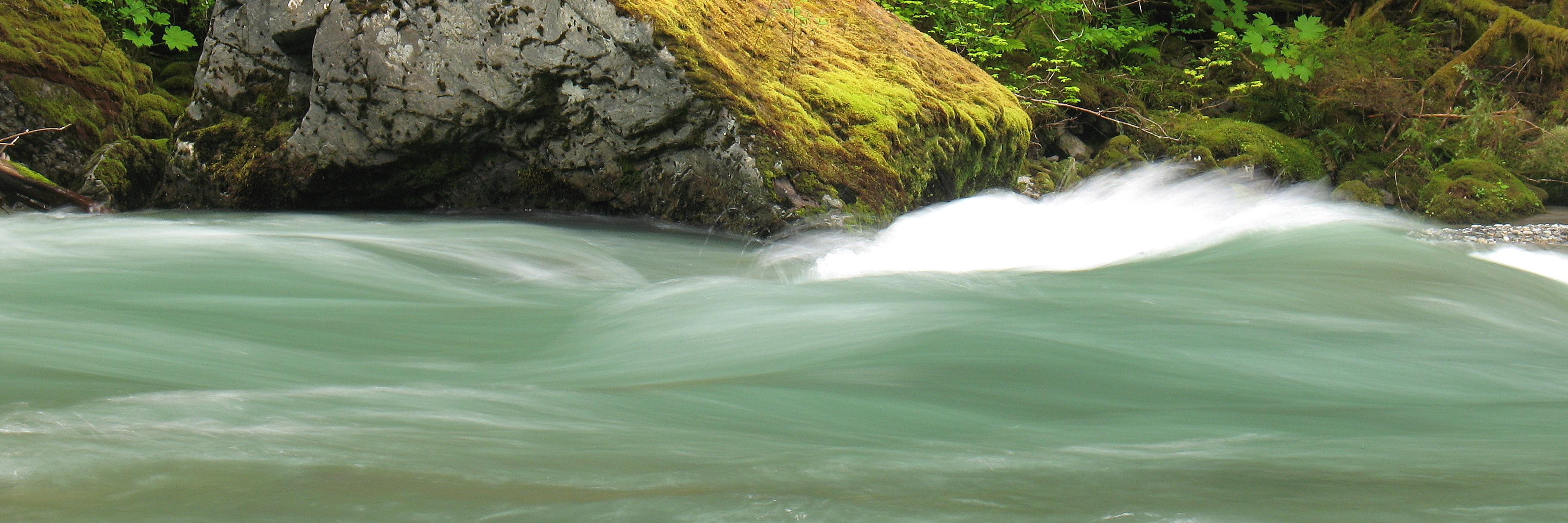 mindfulbreath's profile banner image