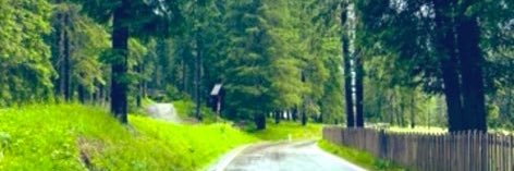 ✨Shahad's banner