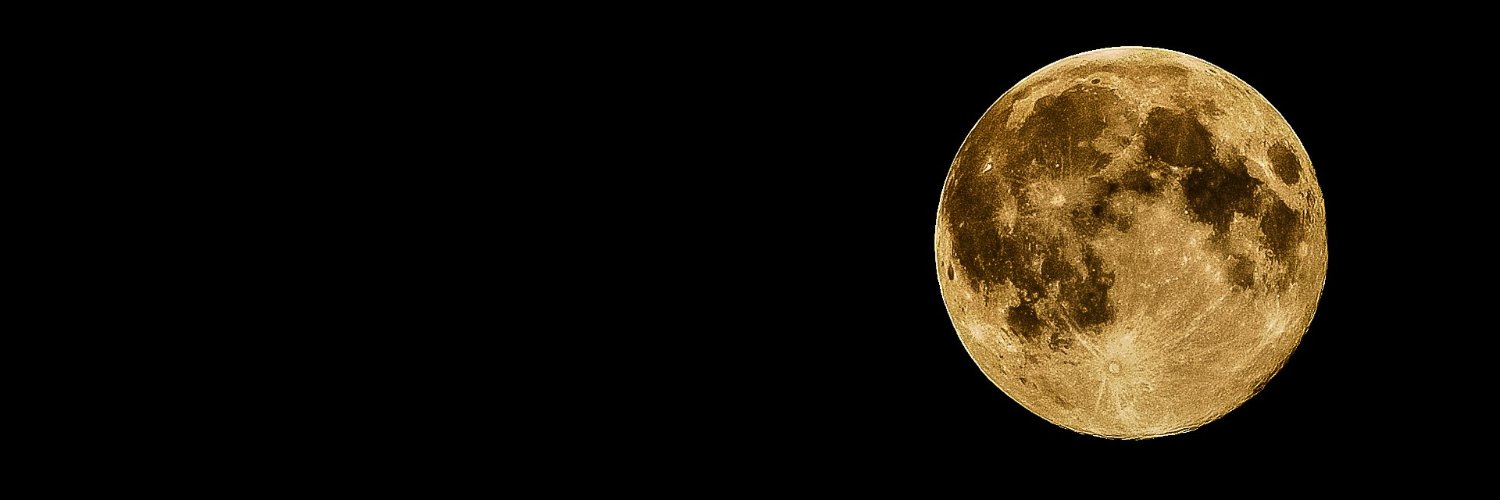 Crypto____Moon's profile banner image