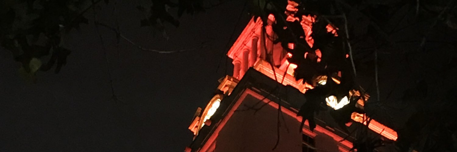 EdnaADominguez's profile banner image