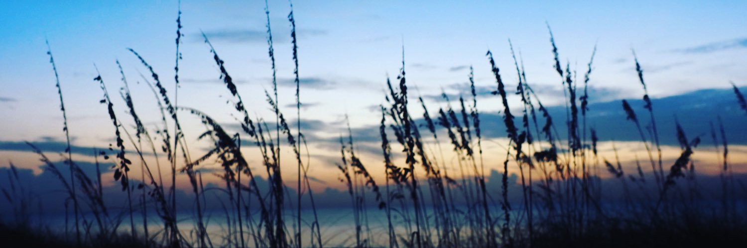 WandrdSnapper's profile banner image