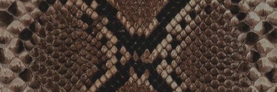 sannmasanda's profile banner image