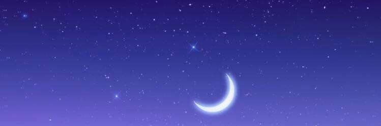 moonlight_angel's profile banner image