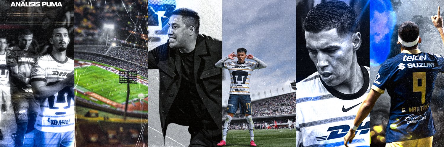 Análisis Puma's banner