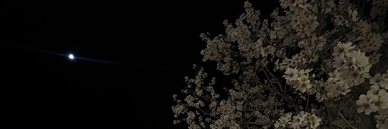 iimmellll's profile banner image