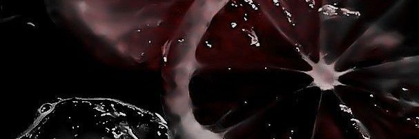 TheHallowedMan's profile banner image