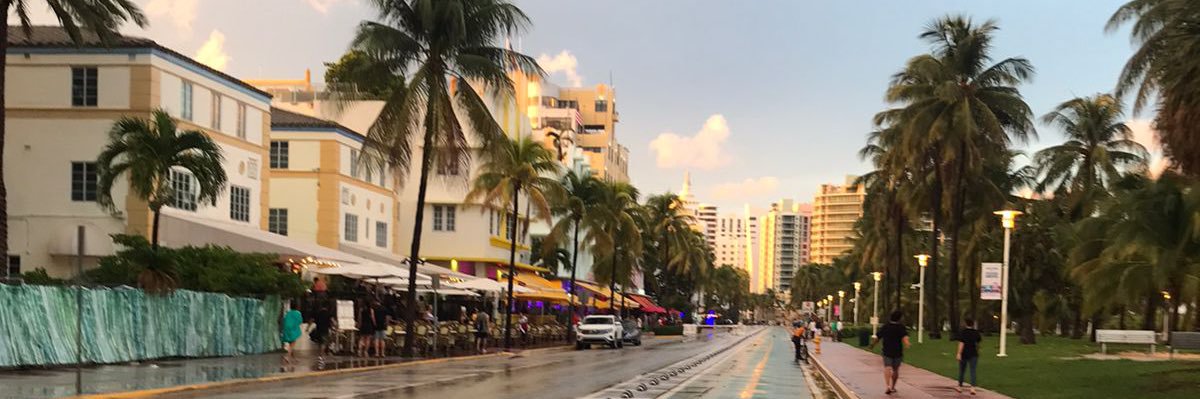 Celeecarrizo's profile banner image