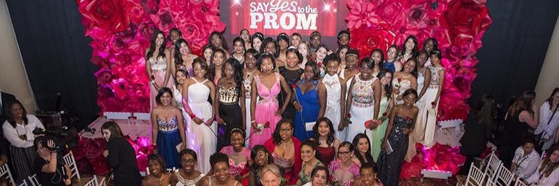 Danielle Alcaraz banner