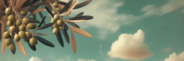 sea101's profile banner image
