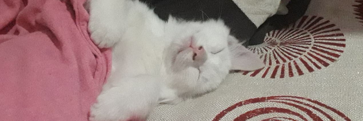 ablcoucou's profile banner image